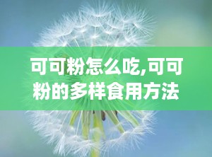 可可粉怎么吃,可可粉的多样食用方法与营养益处