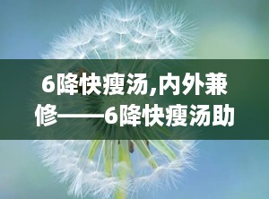 6降快瘦汤,内外兼修——6降快瘦汤助力健康减肥新体验”