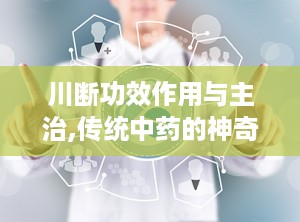 川断功效作用与主治,传统中药的神奇功效与广泛应用