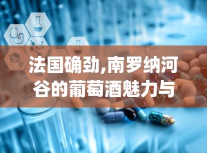 法国确劲,南罗纳河谷的葡萄酒魅力与特色