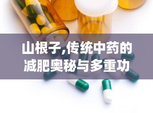 山根子,传统中药的减肥奥秘与多重功效解析