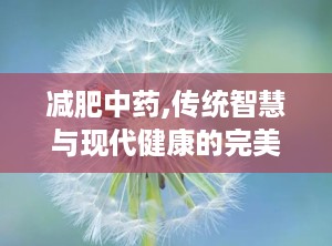 减肥中药,传统智慧与现代健康的完美结合”