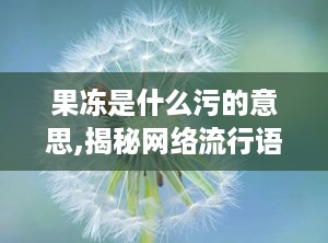 果冻是什么污的意思,揭秘网络流行语的污文化内涵
