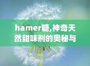 hamer糖,神奇天然甜味剂的奥秘与益处