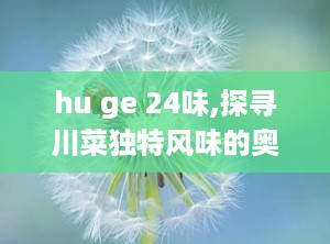 hu ge 24味,探寻川菜独特风味的奥秘