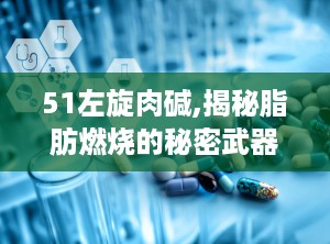 51左旋肉碱,揭秘脂肪燃烧的秘密武器”