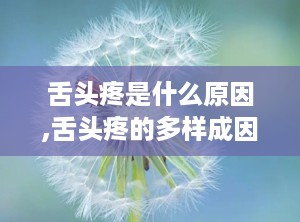 舌头疼是什么原因,舌头疼的多样成因与应对策略