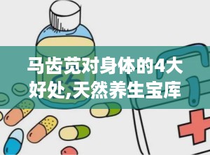 马齿苋对身体的4大好处,天然养生宝库，四大益处守护健康