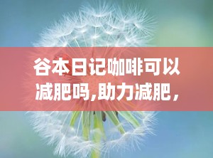 谷本日记咖啡可以减肥吗,助力减肥，健康生活新选择
