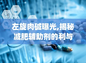 左旋肉碱曝光,揭秘减肥辅助剂的利与弊