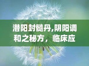 潜阳封髓丹,阴阳调和之秘方，临床应用与疗效解析