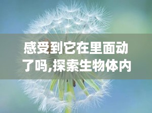 感受到它在里面动了吗,探索生物体内微妙运动的奥秘