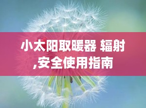 小太阳取暖器 辐射,安全使用指南
