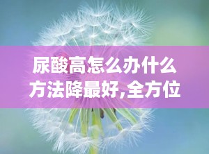 尿酸高怎么办什么方法降最好,全方位方法助您轻松降尿酸”