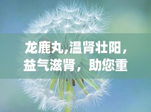 龙鹿丸,温肾壮阳，益气滋肾，助您重拾健康活力
