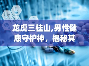 龙虎三桂山,男性健康守护神，揭秘其神奇配方与功效