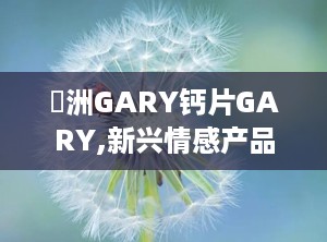 亞洲GARY钙片GARY,新兴情感产品市场解析