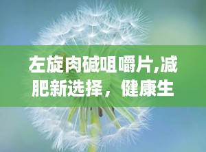 左旋肉碱咀嚼片,减肥新选择，健康生活伴侣”