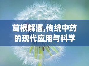 葛根解酒,传统中药的现代应用与科学原理”