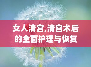 女人清宫,清宫术后的全面护理与恢复指南