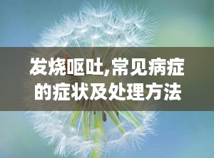 发烧呕吐,常见病症的症状及处理方法