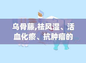乌骨藤,祛风湿、活血化瘀、抗肿瘤的神奇中药