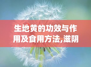 生地黄的功效与作用及食用方法,滋阴润燥，清热凉血，中医宝库中的养生瑰宝