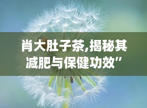 肖大肚子茶,揭秘其减肥与保健功效”