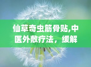 仙草奇虫筋骨贴,中医外敷疗法，缓解骨病疼痛新选择
