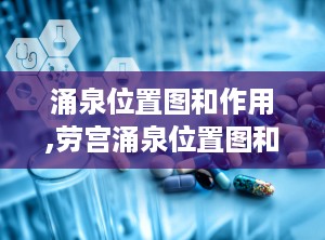 涌泉位置图和作用,劳宫涌泉位置图和作用