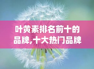 叶黄素排名前十的品牌,十大热门品牌盘点