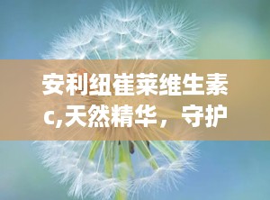 安利纽崔莱维生素c,天然精华，守护健康每一天