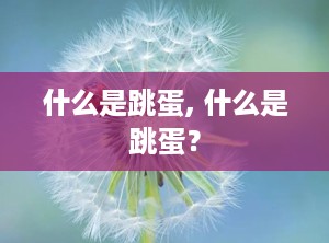 什么是跳蛋, 什么是跳蛋？