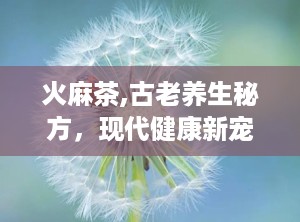 火麻茶,古老养生秘方，现代健康新宠