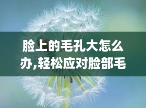 脸上的毛孔大怎么办,轻松应对脸部毛孔粗大问题”