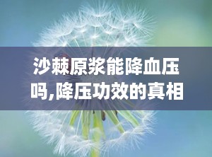 沙棘原浆能降血压吗,降压功效的真相与误区