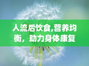 人流后饮食,营养均衡，助力身体康复