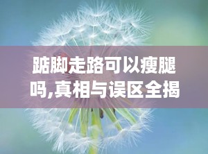 踮脚走路可以瘦腿吗,真相与误区全揭秘”