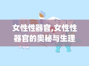 女性性器官,女性性器官的奥秘与生理功能解析
