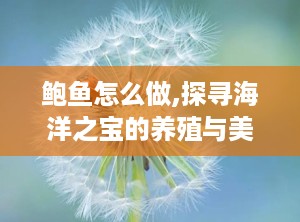 鲍鱼怎么做,探寻海洋之宝的养殖与美味奥秘