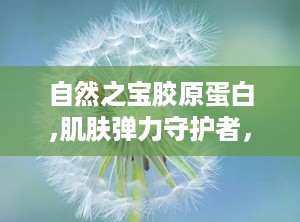 自然之宝胶原蛋白,肌肤弹力守护者，揭秘其美容与保健功效