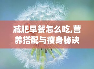 减肥早餐怎么吃,营养搭配与瘦身秘诀”