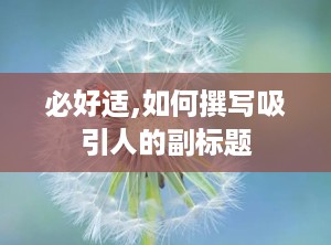 必好适,如何撰写吸引人的副标题