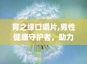 育之缘口嚼片,男性健康守护者，助力生育与免疫力提升”