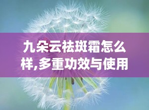 九朵云祛斑霜怎么样,多重功效与使用指南揭秘