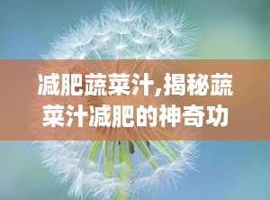 减肥蔬菜汁,揭秘蔬菜汁减肥的神奇功效与制作方法”