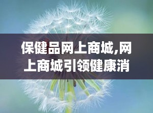 保健品网上商城,网上商城引领健康消费潮流