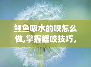 鲤鱼吸水的咬怎么做,掌握鲤咬技巧，提升垂钓成功率