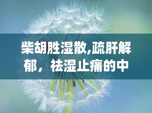 柴胡胜湿散,疏肝解郁，祛湿止痛的中医良方