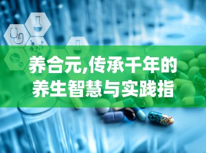 养合元,传承千年的养生智慧与实践指南”